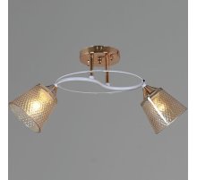 Потолочный светильник Reluce 06003-0.3-02 FG+WT