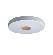 Потолочный светильник Loft IT AXEL 10003/24 White