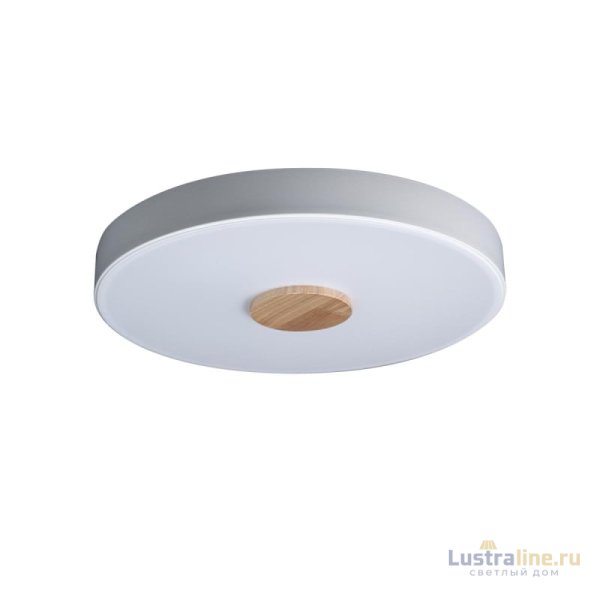 Потолочный светильник Loft IT AXEL 10003/24 White Потолочный светильник Loft IT AXEL 10003/24 White