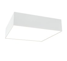 Потолочный светильник Maytoni Technical Zon C067CL-L27W3K
