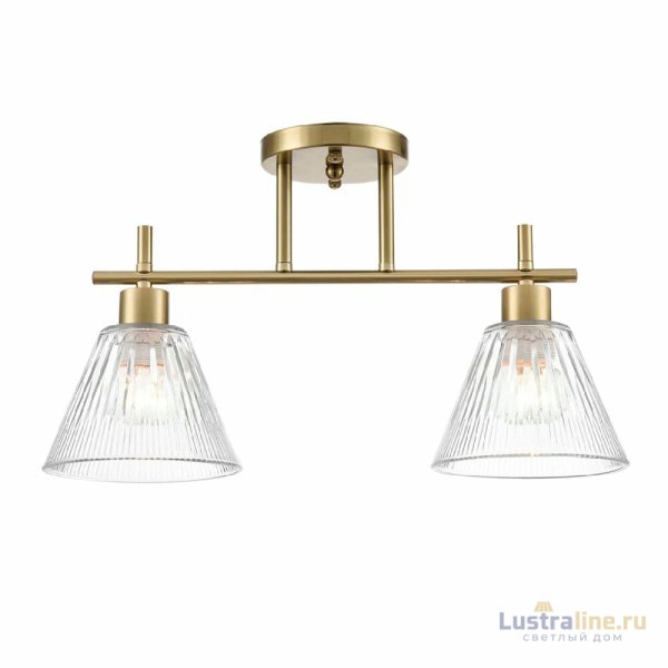 Потолочный светильник Lumion Vivian 8188/2C