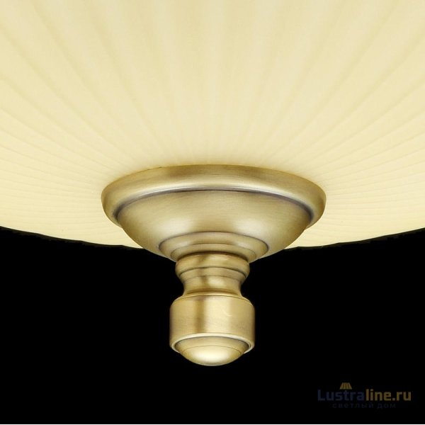 Потолочный светильник MW-Light Афродита 317011403