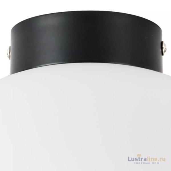Потолочный светильник Lightstar Globo 812037 Потолочный светильник Lightstar Globo 812037