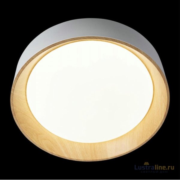Потолочный светильник Loft IT Coin 10202 White Потолочный светильник Loft IT Coin 10202 White