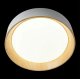 Потолочный светильник Loft IT Coin 10202 White