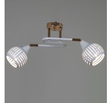 Потолочный светильник Reluce 70059-3.3-02 FG+WH