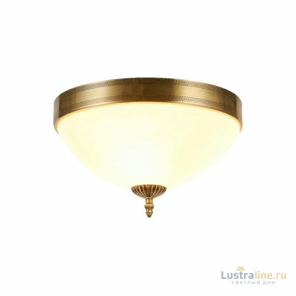Потолочный светильник Myfar Biene MR1527-3C