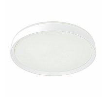 Потолочный светильник Citilux Boss CL751450G