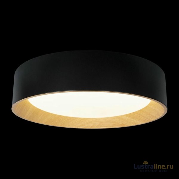 Потолочный светильник Loft IT Coin 10202 Black Потолочный светильник Loft IT Coin 10202 Black