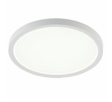 Потолочный светильник Natali Kovaltseva Plain LED LAMPS 81113/2C
