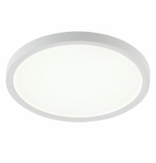 Потолочный светильник Natali Kovaltseva Plain LED LAMPS 81113/2C
