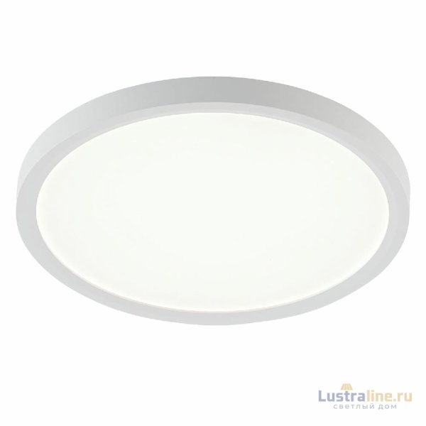 Потолочный светильник Natali Kovaltseva Plain LED LAMPS 81113/2C Потолочный светильник Natali Kovaltseva Plain LED LAMPS 81113/2C