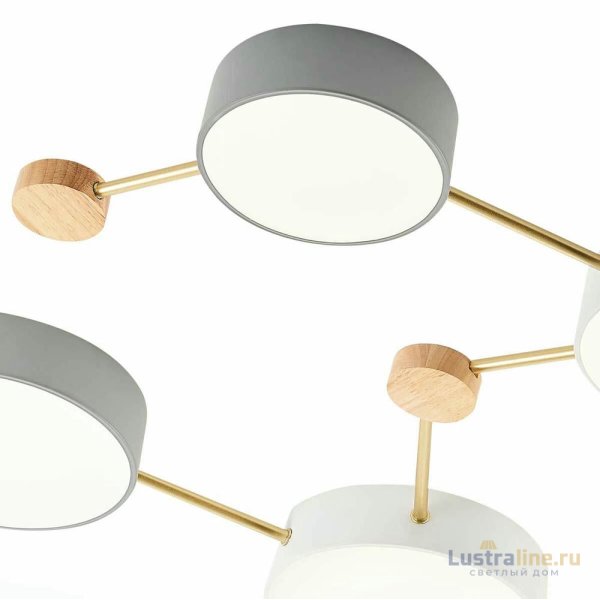 Потолочный светильник Evoluce Dossena SLE600102-08 Потолочный светильник Evoluce Dossena SLE600102-08
