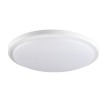 Потолочный светильник Kanlux Orte Led 24W-NW-O 29161