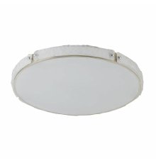 Потолочный светильник De Markt Ривз 674017701