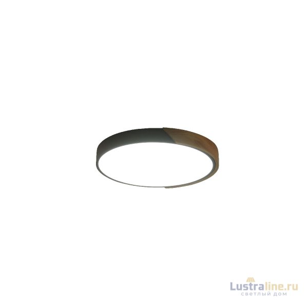 Потолочный светильник Zortes Alberro ZRS.01280.24 Потолочный светильник Zortes Alberro ZRS.01280.24