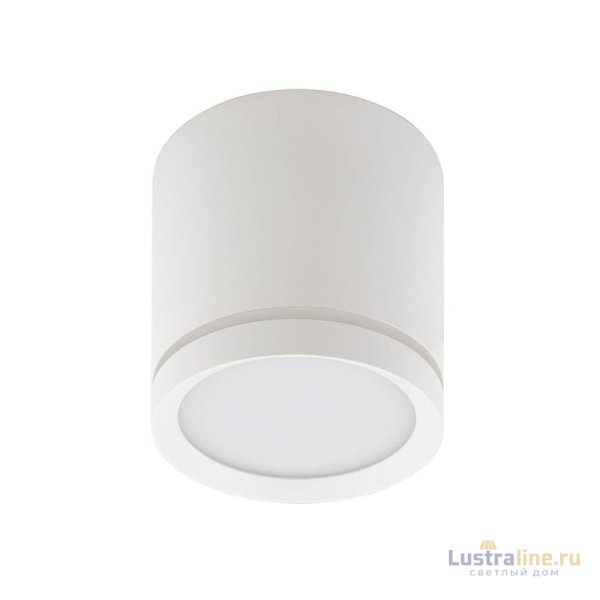 Потолочный светильник Denkirs DK4016 DK4013-WH