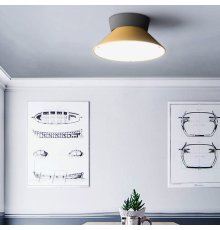 Потолочный светильник ImperiumLoft Knap 193555-26