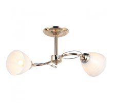 Потолочный светильник IMEX MD.0017-2-S-FGD