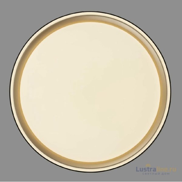 Потолочный светильник Citilux Boss CL751251G