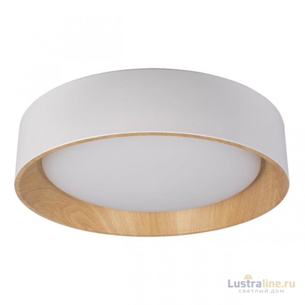 Потолочный светильник Loft IT Coin 10202 White Потолочный светильник Loft IT Coin 10202 White