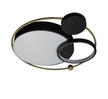 Потолочный светильник Loft IT Mike 10064