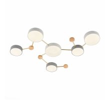 Потолочный светильник Evoluce Dossena SLE600102-06