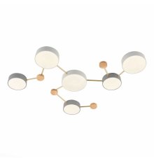 Потолочный светильник Evoluce Dossena SLE600102-06