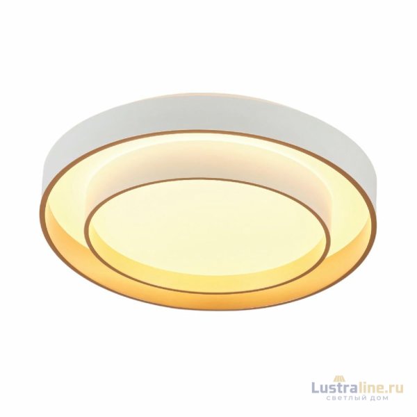 Потолочный светильник Myfar Rhea MR9161-CL
