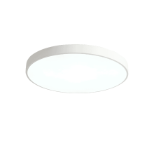 Потолочный светильник Zortes Tortty ZRS.02564.120
