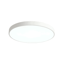 Потолочный светильник Zortes Tortty ZRS.02564.120