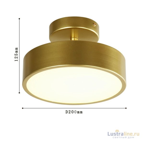 Потолочный светильник F-Promo Atma 3059-2P Потолочный светильник F-Promo Atma 3059-2P