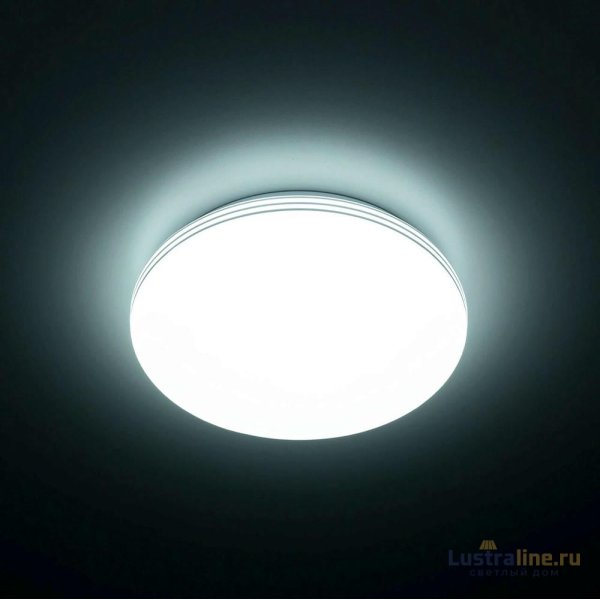 Потолочный светильник Citilux Симпла CL71424SV Потолочный светильник Citilux Симпла CL71424SV