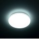 Потолочный светильник Citilux Симпла CL71424SV