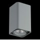 Потолочный светодиодный светильник Lightstar Monocco 052339