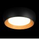 Потолочный светильник Loft IT Folk 10255/500 Black