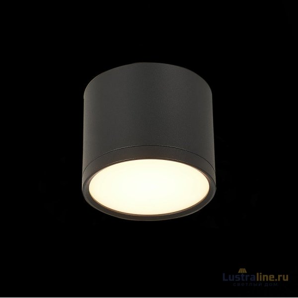 Потолочный светильник ST Luce Rene ST113.432.09