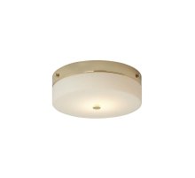 Потолочный светильник Elstead Lighting Tamar TAMAR-F-L-PG