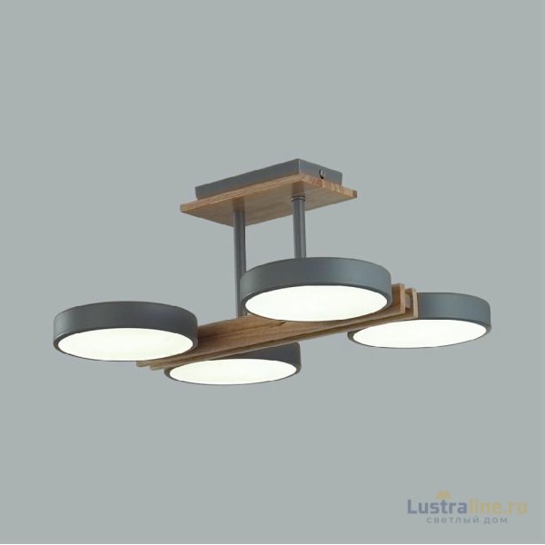 Потолочный светильник Lumion Plato 8031/72CL