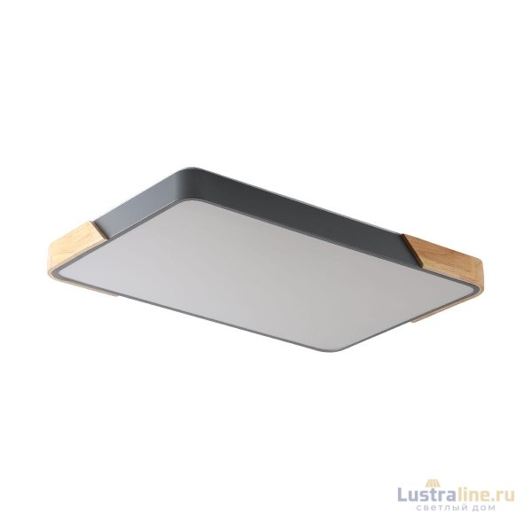 Потолочный светильник Zortes Alberro ZRS.01277.60 Потолочный светильник Zortes Alberro ZRS.01277.60