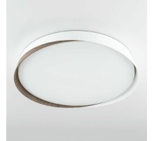 Потолочный светильник Citilux Bonny CL754450G