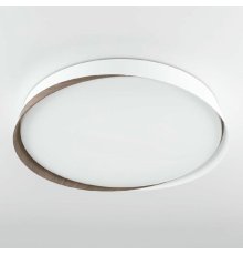Потолочный светильник Citilux Bonny CL754450G