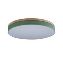 Потолочный светильник Loft IT AXEL 10001/36 Green