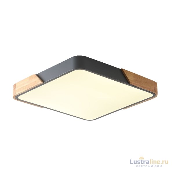 Потолочный светильник Zortes Alberro ZRS.01288.60 Потолочный светильник Zortes Alberro ZRS.01288.60