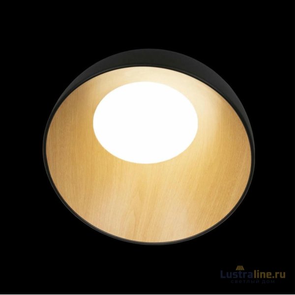 Потолочный светильник Loft IT Egg 10197/350 Black Потолочный светильник Loft IT Egg 10197/350 Black
