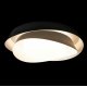 Потолочный светильник Loft IT Petale 10256 Black