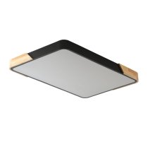 Потолочный светильник Zortes Alberro ZRS.01244.60 Потолочный светильник Zortes Alberro ZRS.01244.60