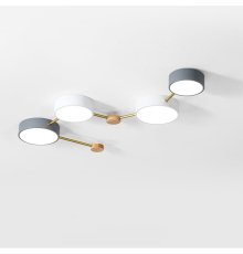 Потолочный светильник ImperiumLoft Solen 207843-26