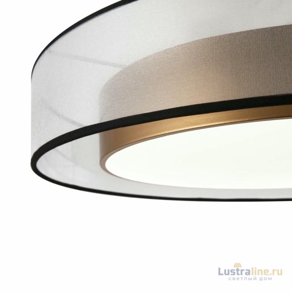 Потолочный светильник Freya Zoticus FR6005CL-L48G Потолочный светильник Freya Zoticus FR6005CL-L48G