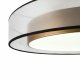 Потолочный светильник Freya Zoticus FR6005CL-L48G